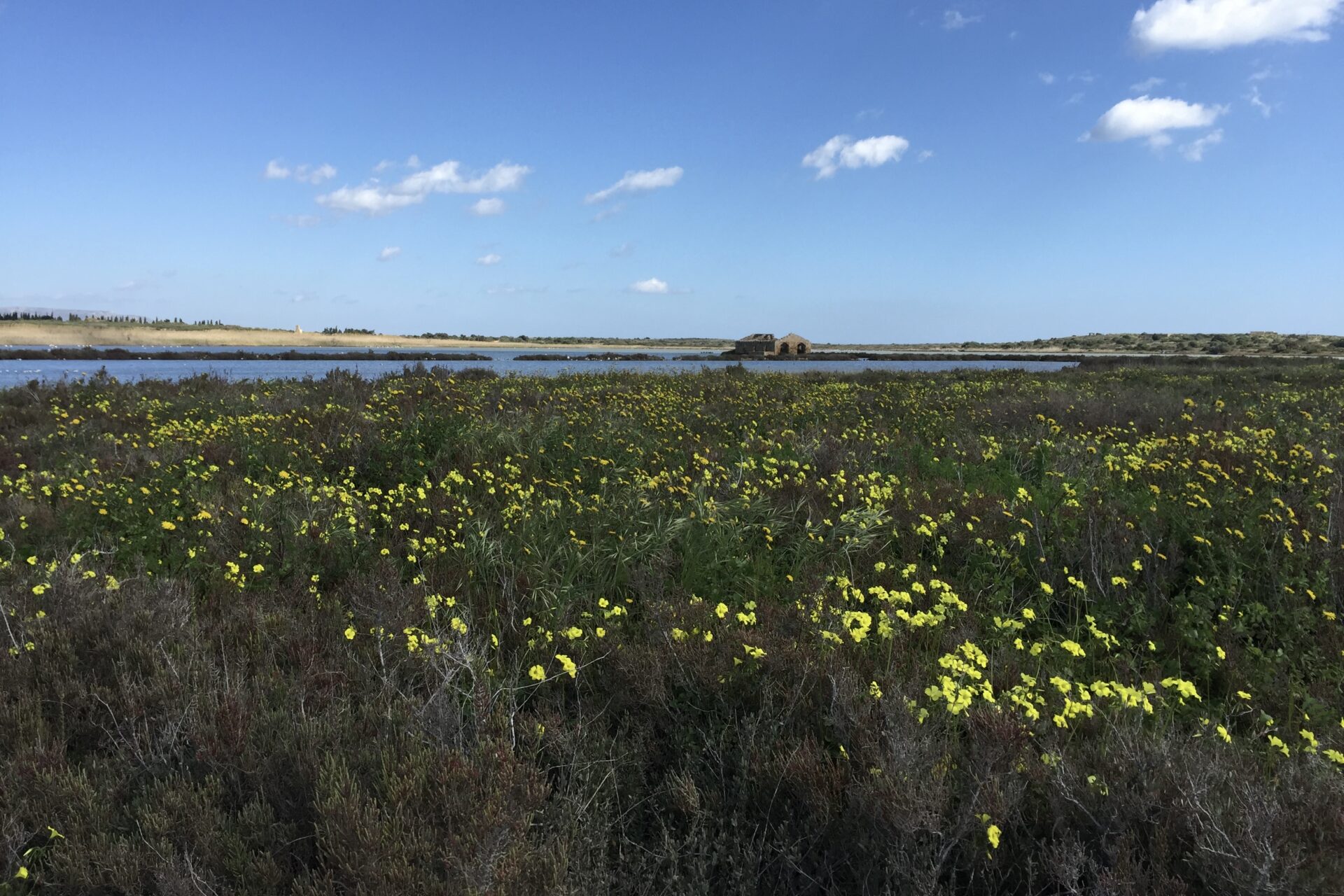 10 giorni in Sicilia senza stress - 10 days in Sicily without stress - Vendicari